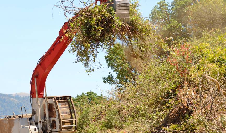 Land Clearing